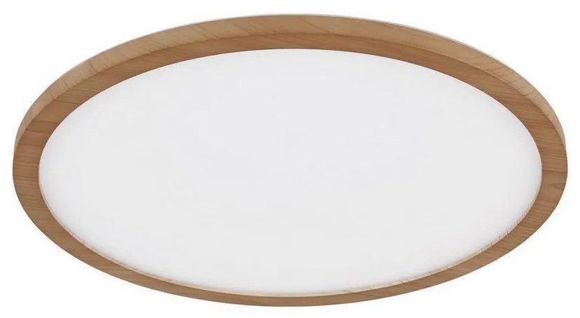 Globo 41562-24WW - LED Dimmelhető fürdőszobai lámpa SAPANA LED/24W/230V IP44