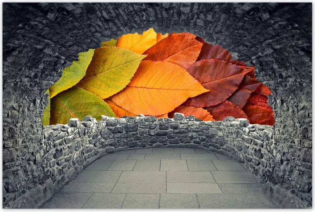 Poszterek 60x40 Őszi színes levelek Levelek az ősz színeiben