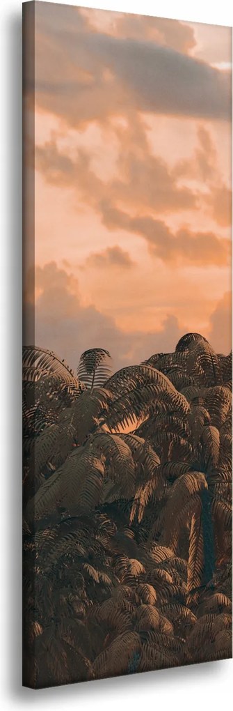 Vászonkép Fák Naplemente Felhők Égbolt 40x120 cm