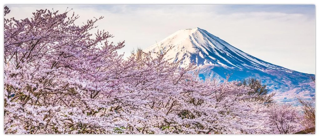 Kép - Japán tavasszal (120x50 cm)