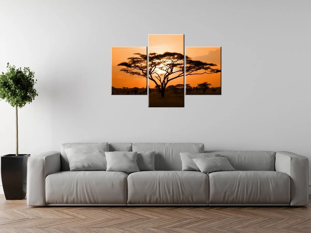 Gario Vászonkép Gyönyöru afrikai táj - 3 részes Méret: 90 x 30 cm
