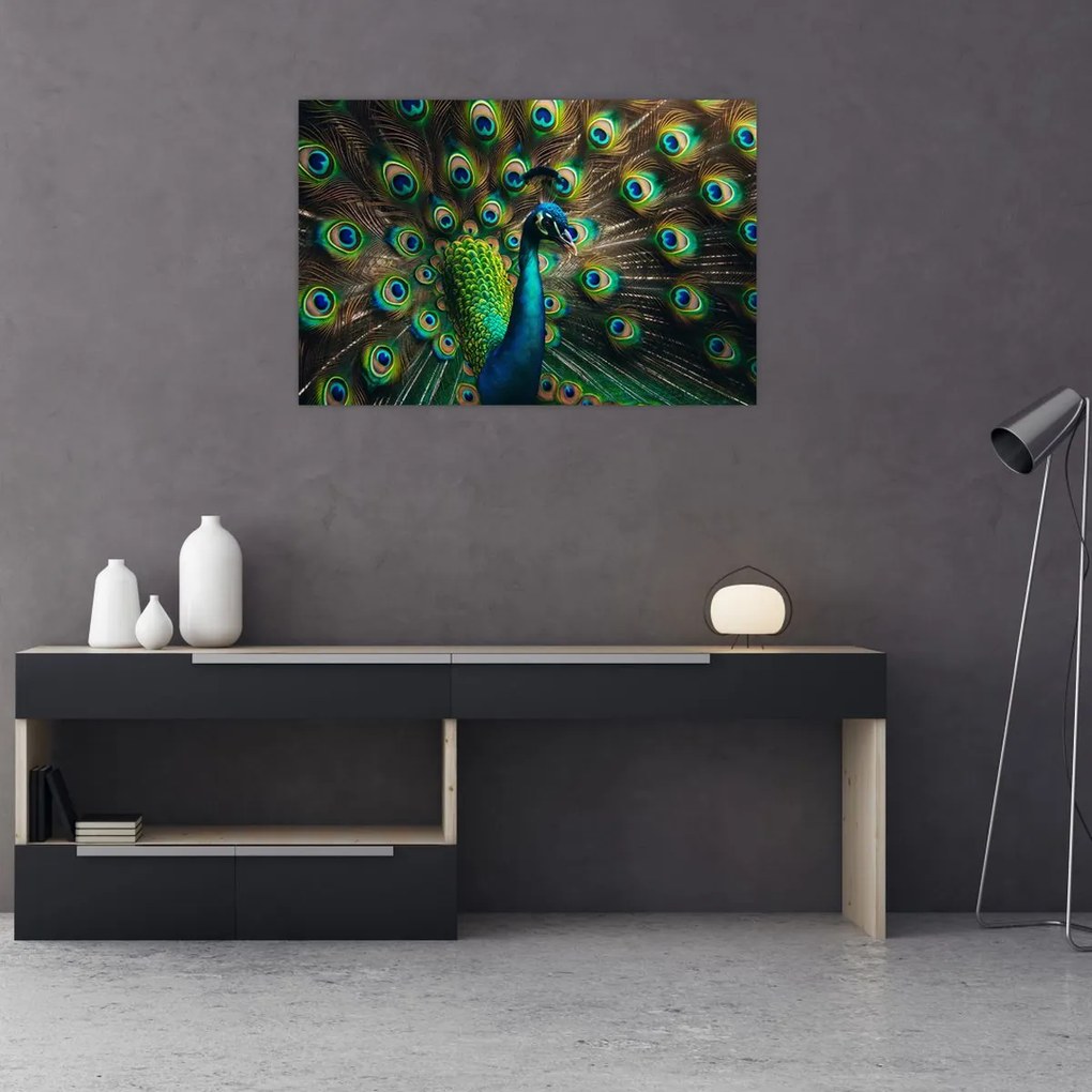 Kép – Pávatoll (90x60 cm)
