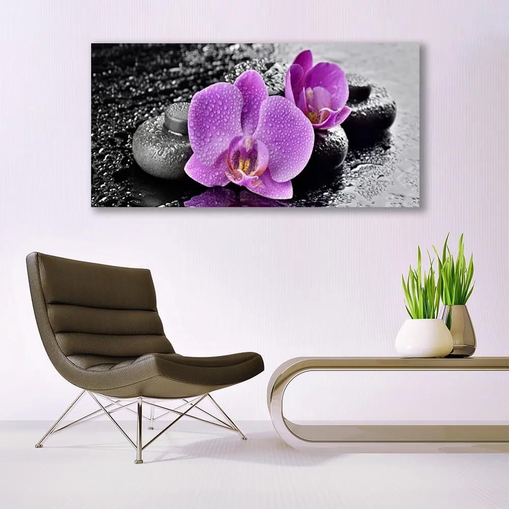 Üvegkép Orchidea virágok orchidea Spa 100x50 cm