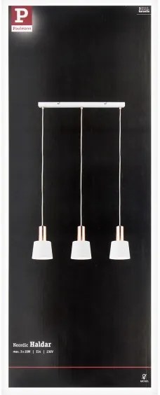 Paulmann 79657 - 3xE14/20W Csillár zsinóron NEORDIC HALDAR 230V