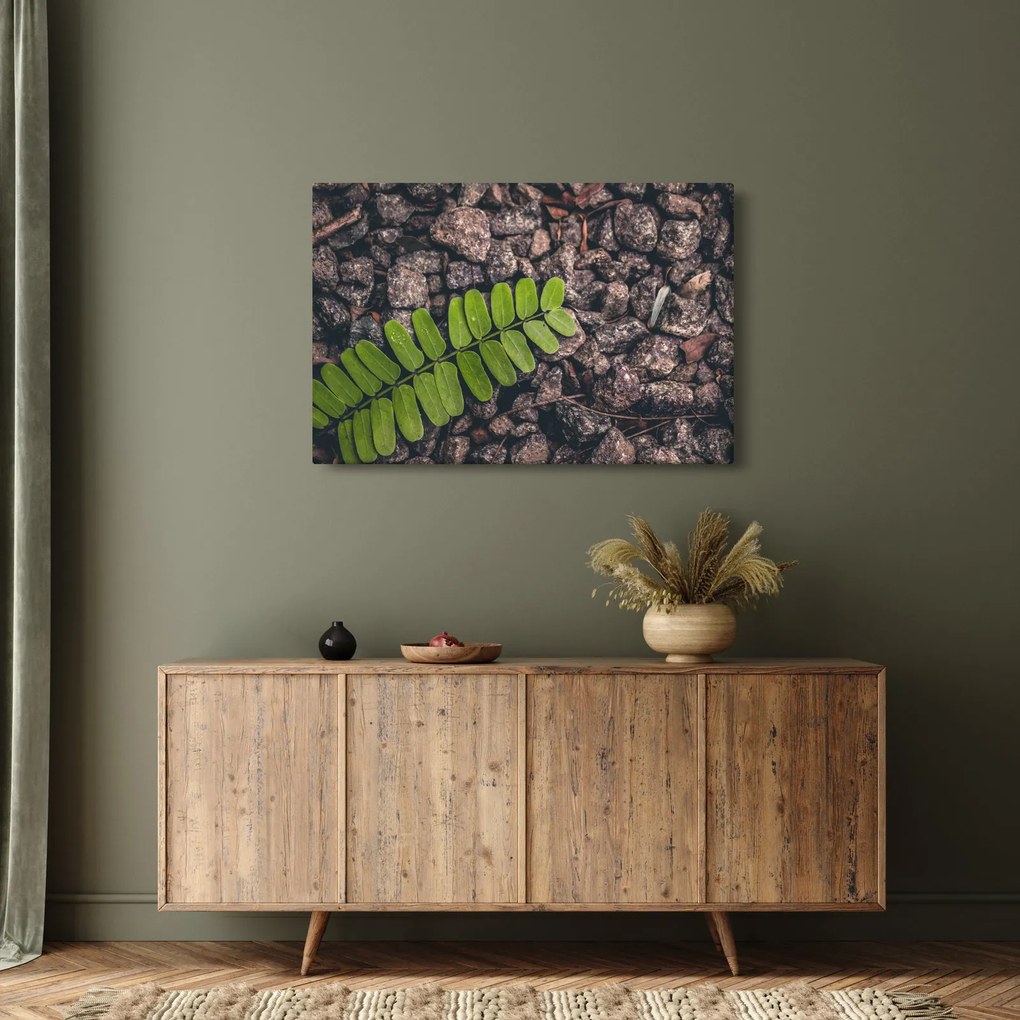 Zöld növények képe (90x60 cm)