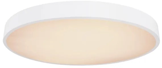 Globo - LED állítható mennyezeti lámpa LED/48W/230V + DO
