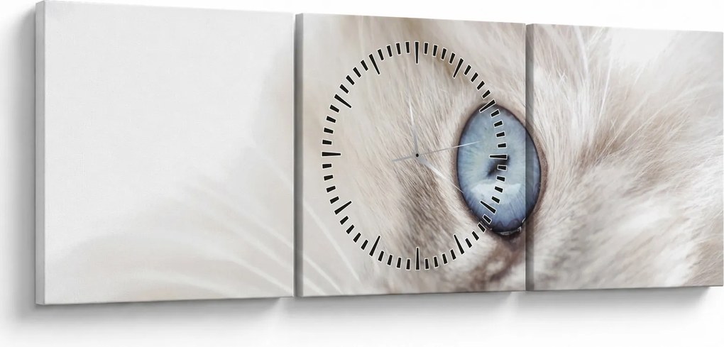Kép - Kék szemű macska (órával) (90x30 cm)