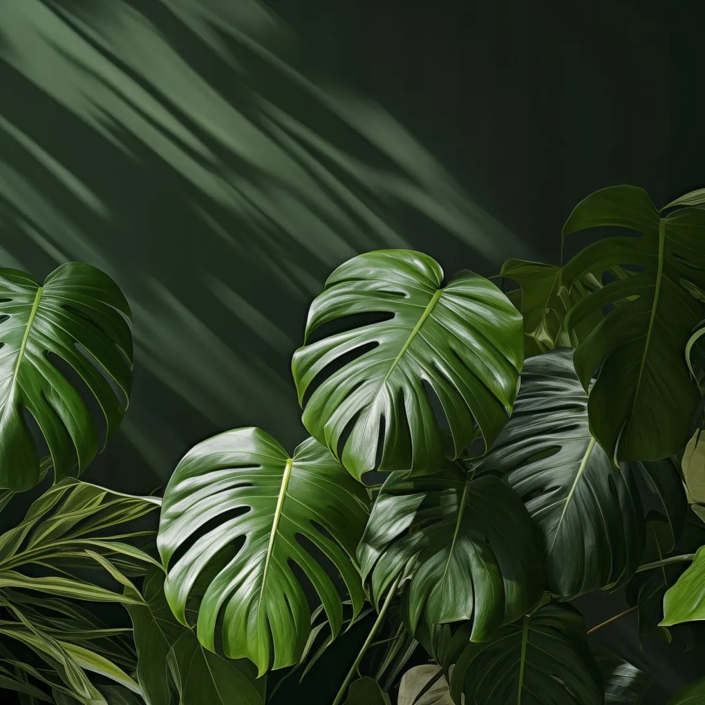 Poszter 80x80cm Suttogó levelek