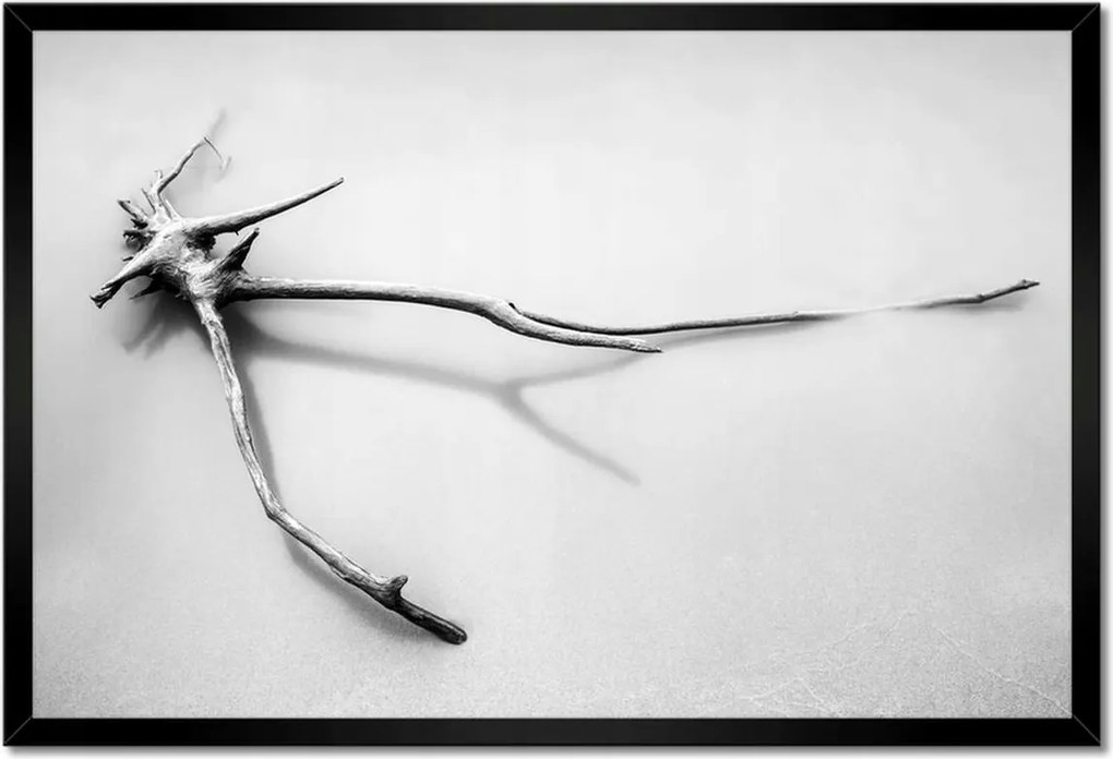 Poszter keretben 60x40 Tenger Gyökér a tengerparton