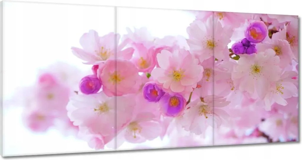 Vászonkép 120x60 Japán cseresznyefa ág