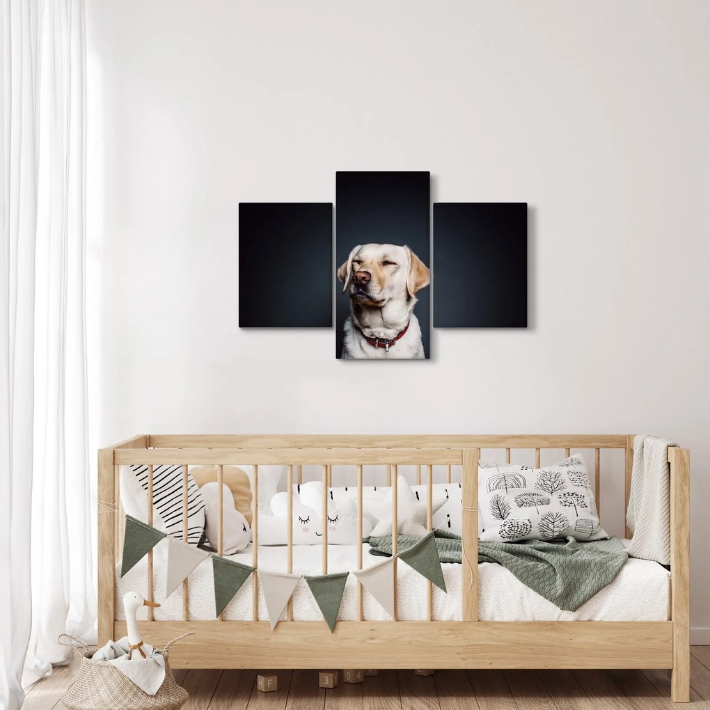 Labrador képe (90x60 cm)