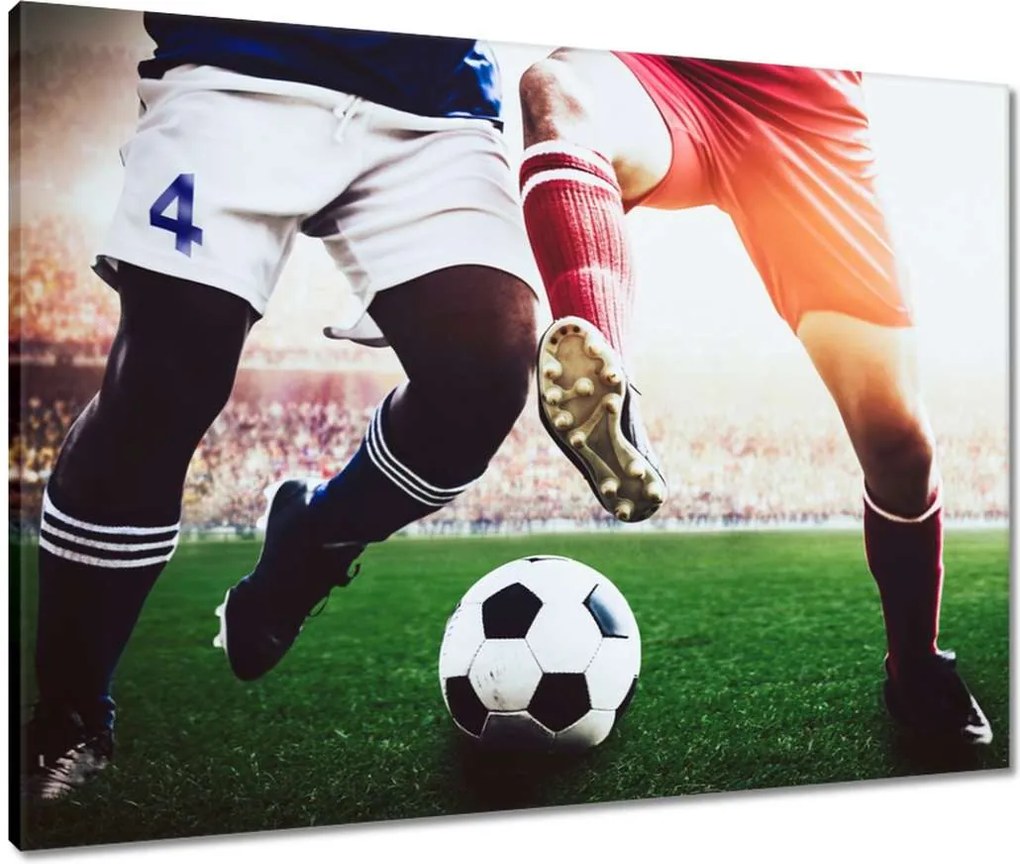 Vászonkép 80x60 Labdarúgók Labdarúgás Ág Dugók