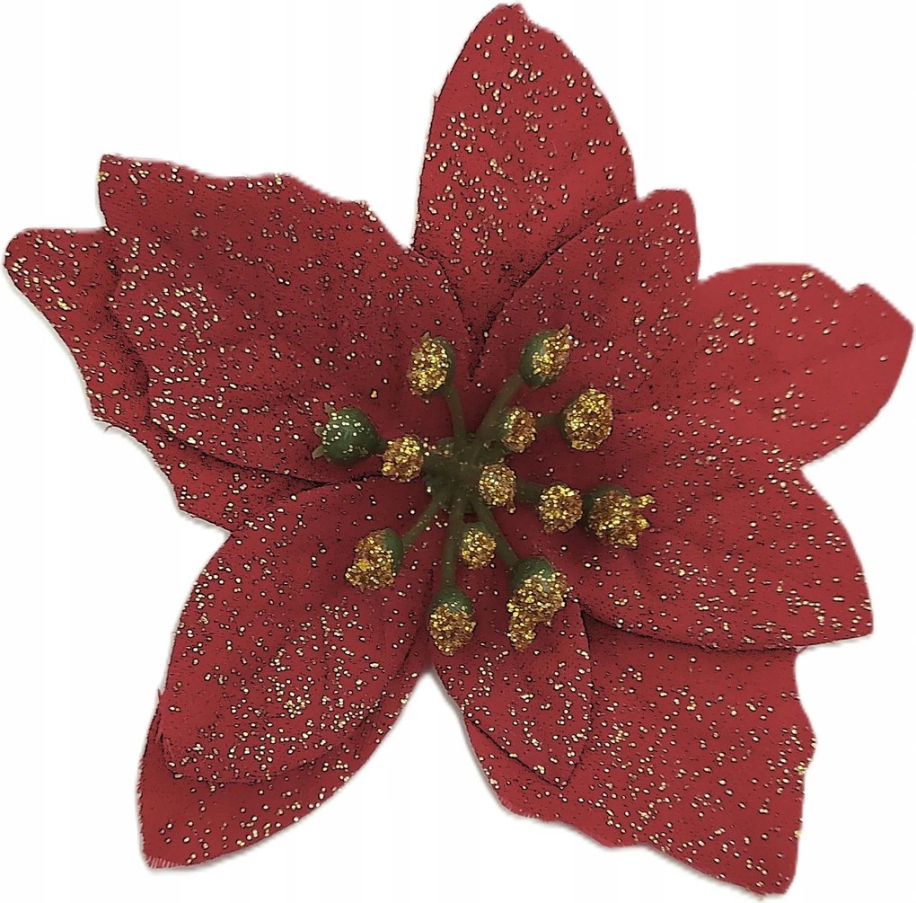 Betlehemi csillag, kis mikulásvirág, karácsony 10 db 7 cm