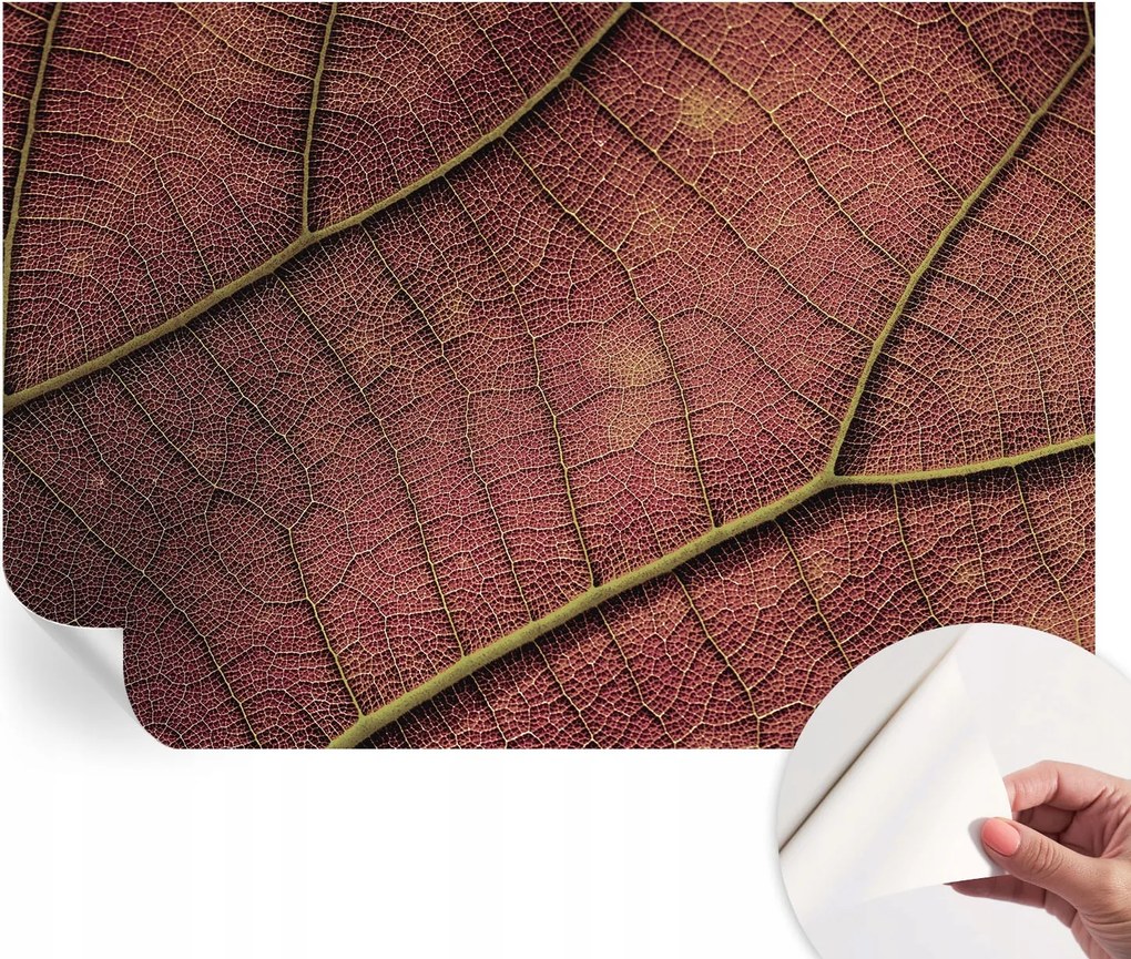 Öntapadós fotótapéta Falra 3D Loft Leveles textúra 152x104 cm