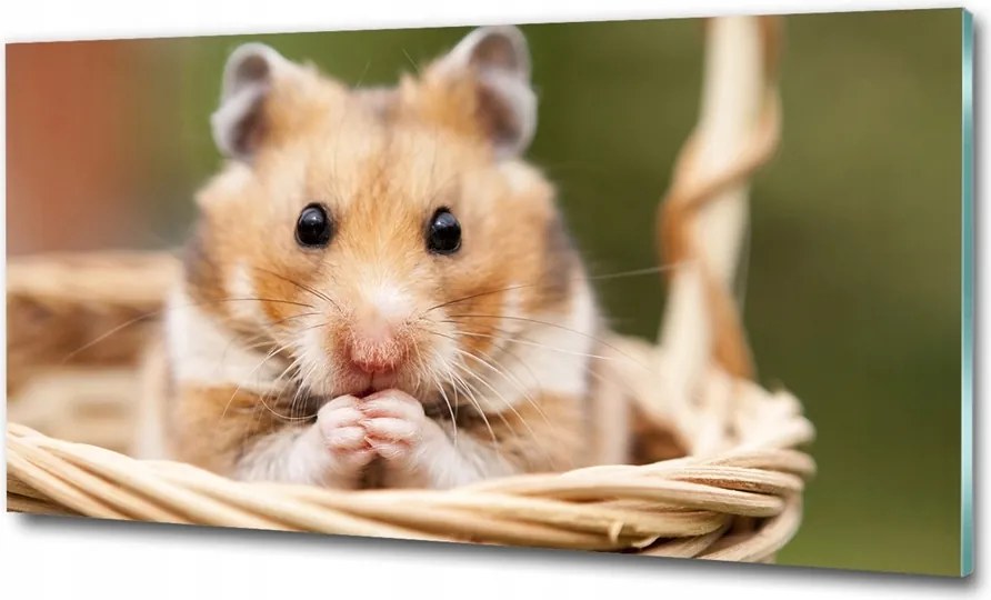 Fotó-üvegkép Hörcsög a kosárban 125x50