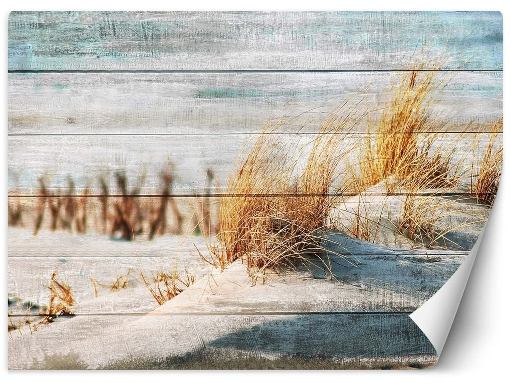 Gario Fotótapéta Stranddunék a fán Anyag: Vlies, Méret: 400 x 280 cm