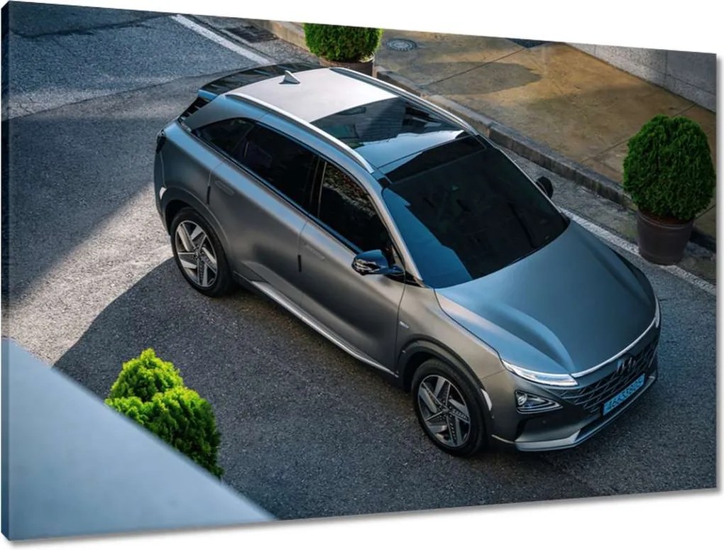 Vászonkép 90x60 Hyundai autó