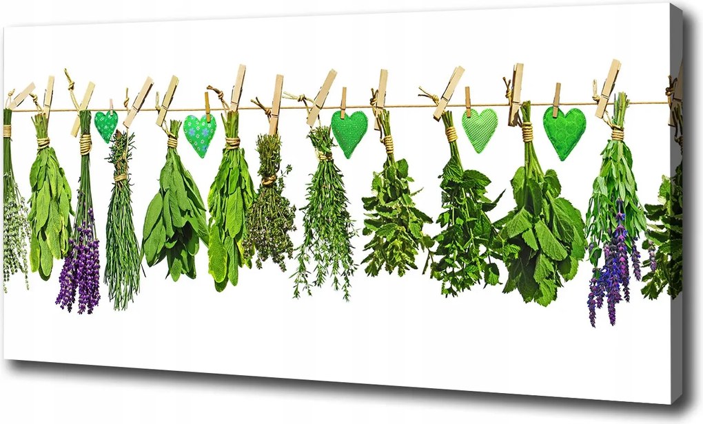 Vászonkép Gyógynövények zsinóron 100x70 cm