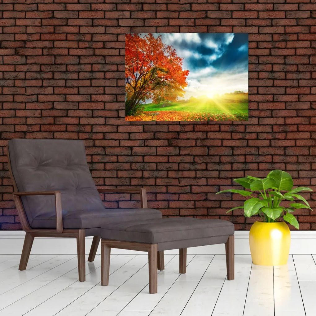 Napsütésben fürdő táj képe (70x50 cm)