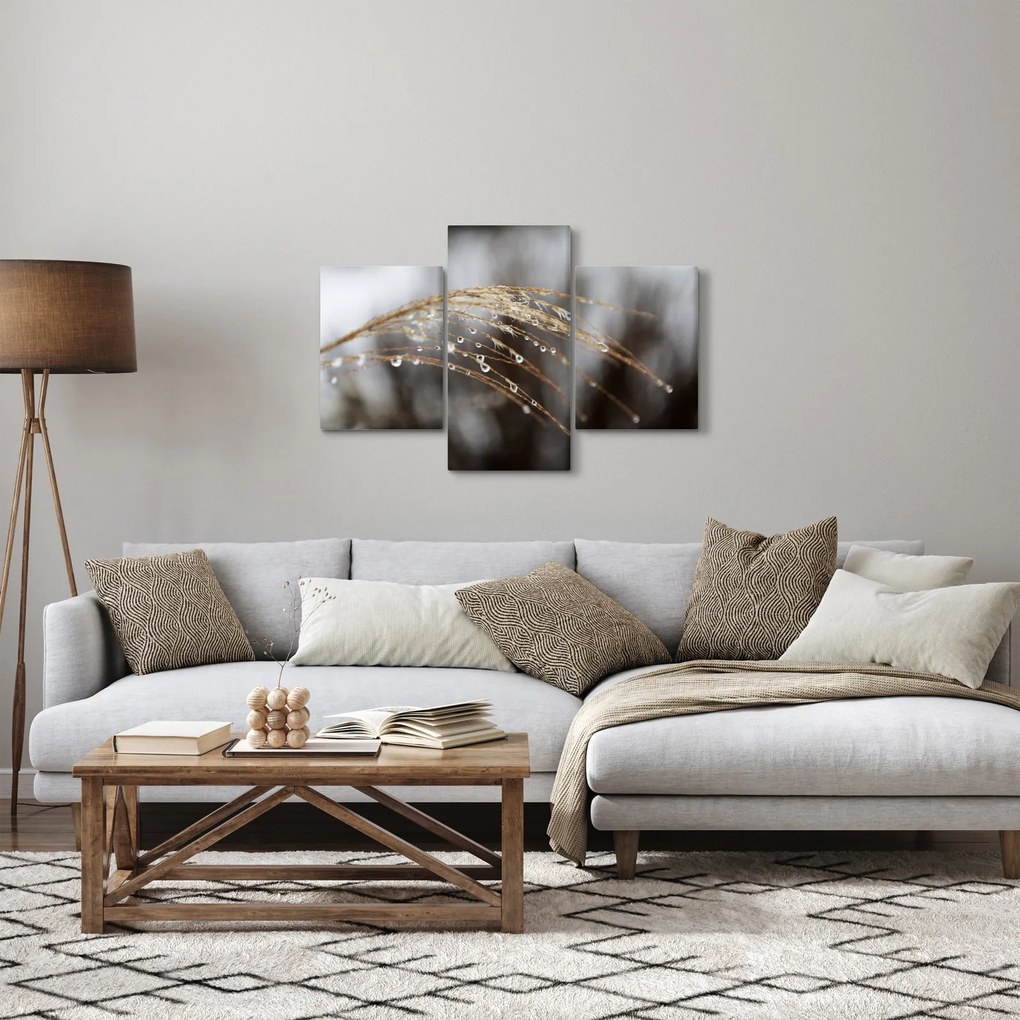Cseppkép egy növényen (90x60 cm)