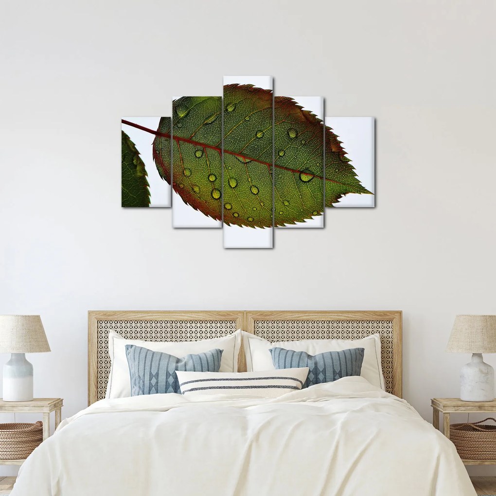 Kép - Rózsalevél (150x105 cm)