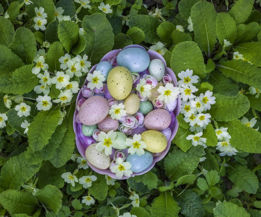 Poszter 60x50cm Húsvéti tojások kosárban 3, Assaf Frank