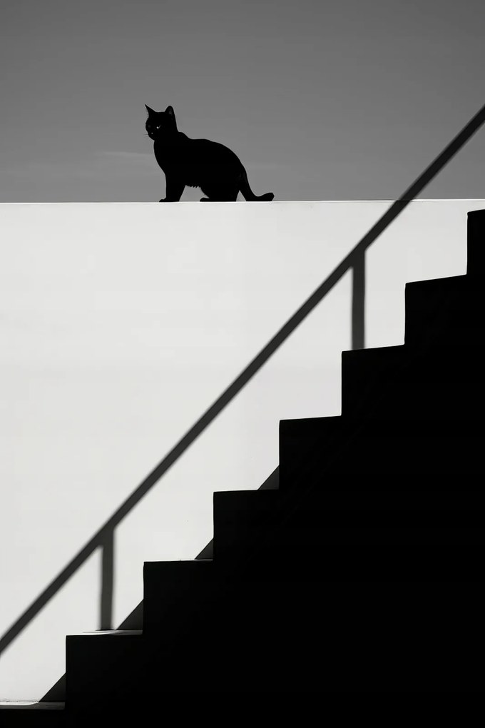 Poszter 30x45cm Sziluett és szimmetria