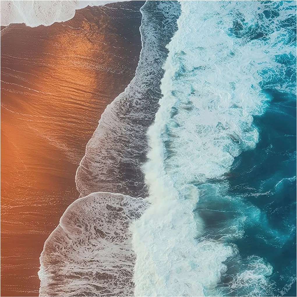 Flizelina Dekoratív Hálószoba Fotótapéta Tengeri szimbiózis 250x250 Ragasztó