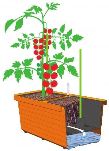 Berberis DUO Önöntöző virágláda, terrakotta, 78 cm