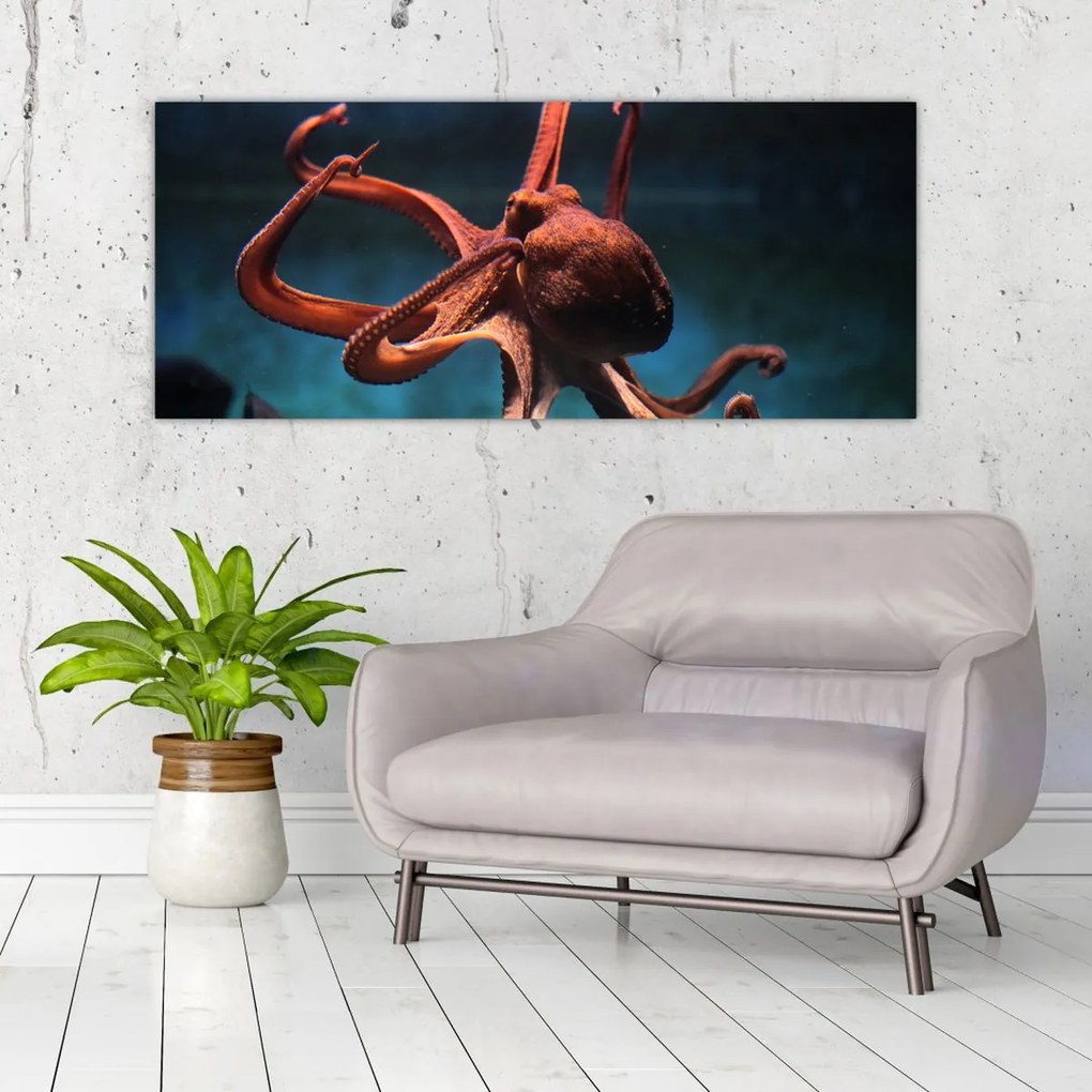 Kép - Octopus (120x50 cm)