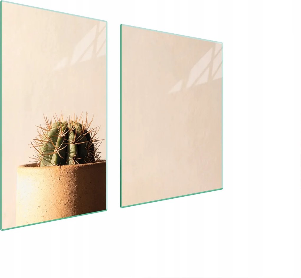 Üveglap És Vágódeszka 100x52 Kaktusz Edzett Üveg