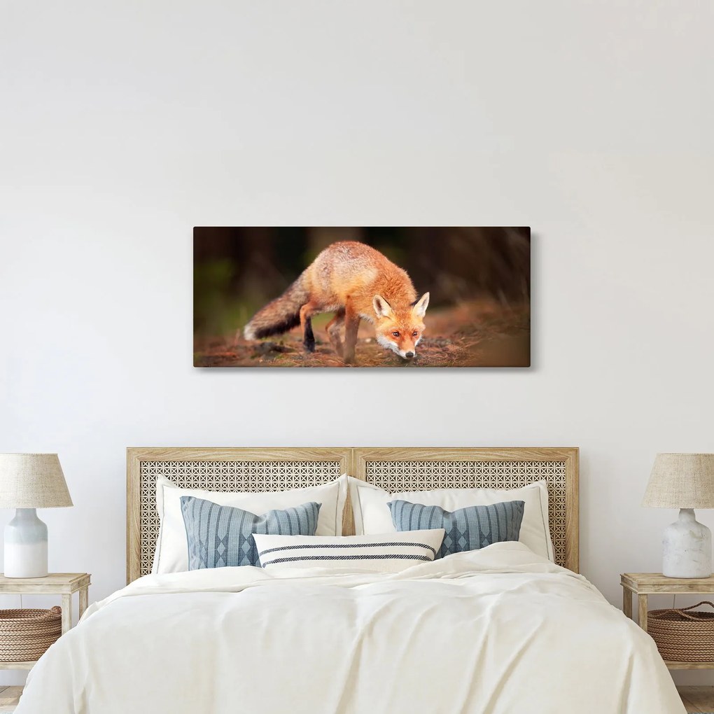 Kép - Róka az erdőben (120x50 cm)