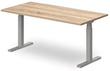 Elektromosan állítható asztal VE 160x80 cm -