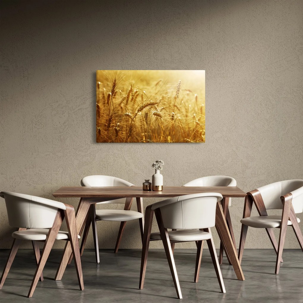 Kép - Gabonafül (90x60 cm)