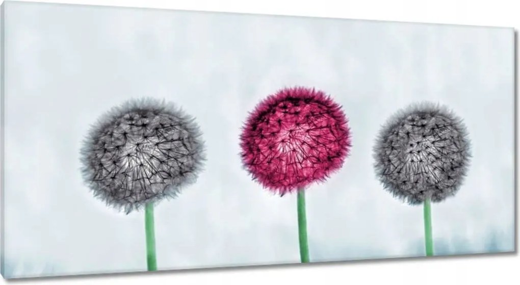 Vászonkép 115x55 Szürke-lila