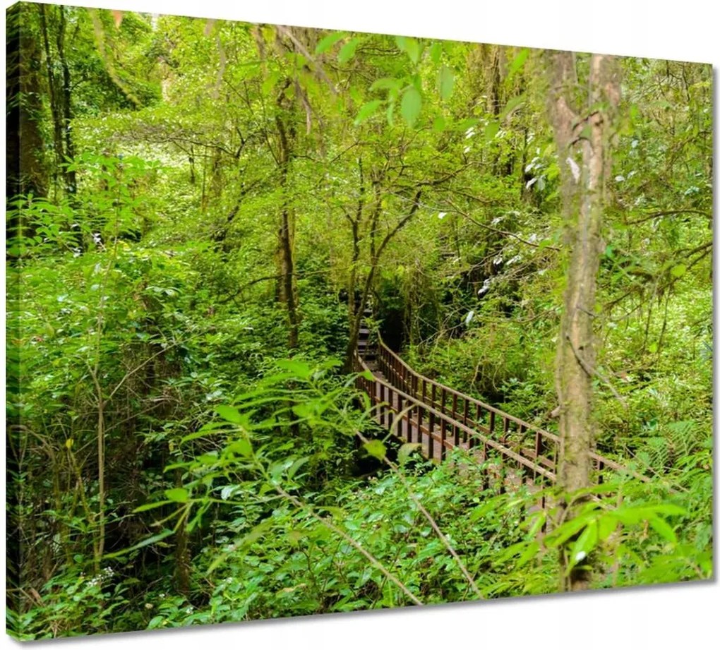 Vászonkép 50x40 Tájkép park