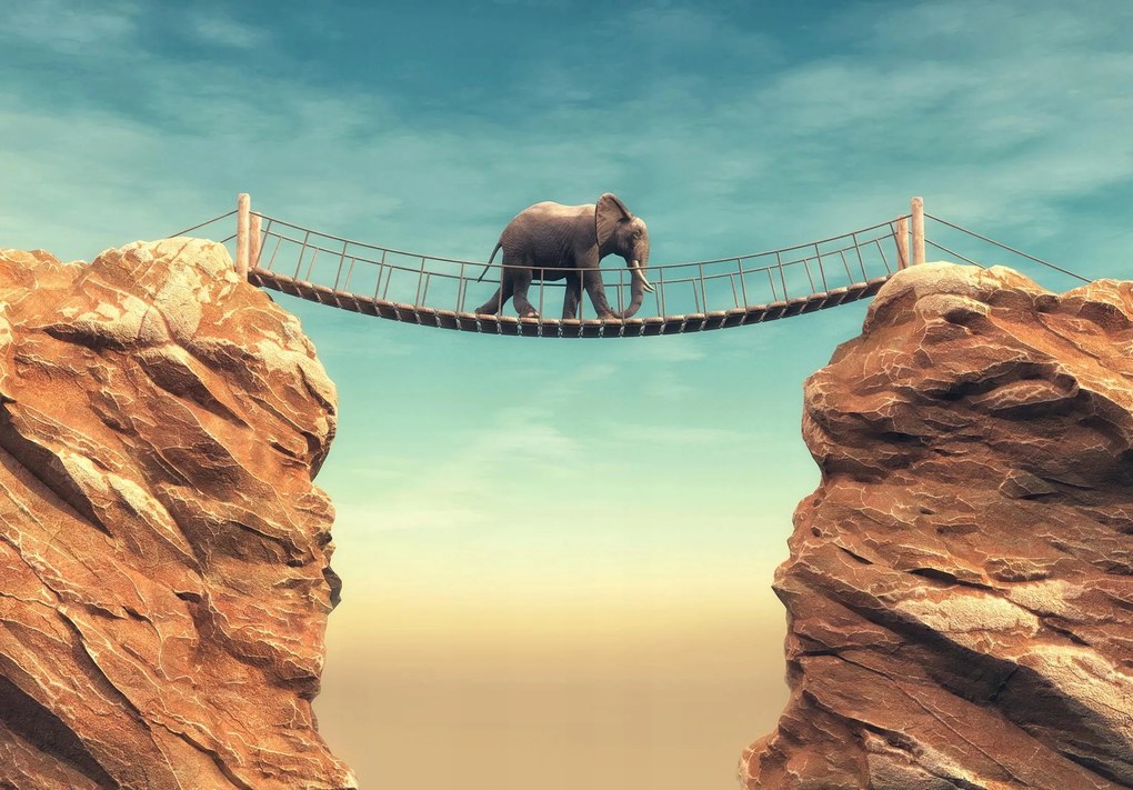 Fotótapéta Elefánt Híd ég kanyon flizelin Ragasztó Ajándék 312 x 219