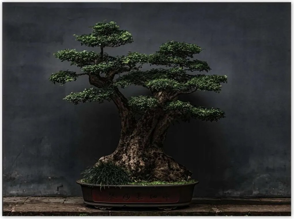 Poszterek 135x100 Bonsai Fa Kultúra