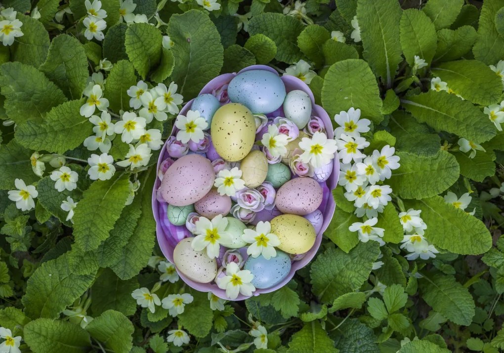 Poszter 100x70cm Húsvéti tojások kosárban 3, Assaf Frank