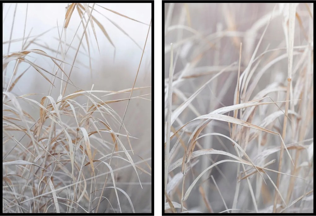 Boho fű poszter skandináv stílusban 15x21cm