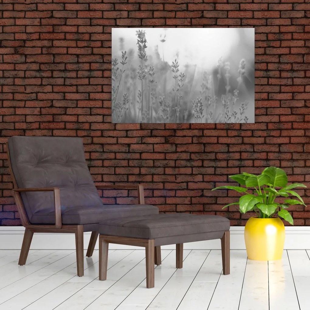 Kép - Levendula (90x60 cm)