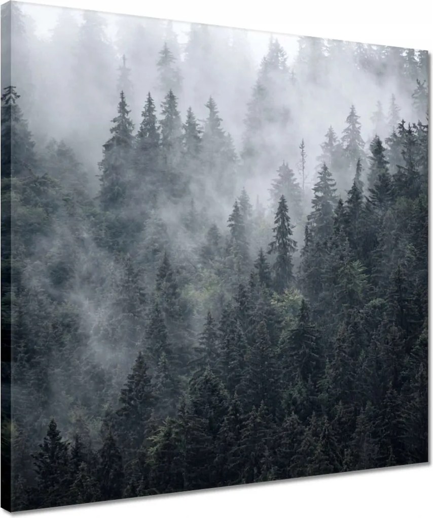 Vászonkép 40x40 Ködös hegyi táj