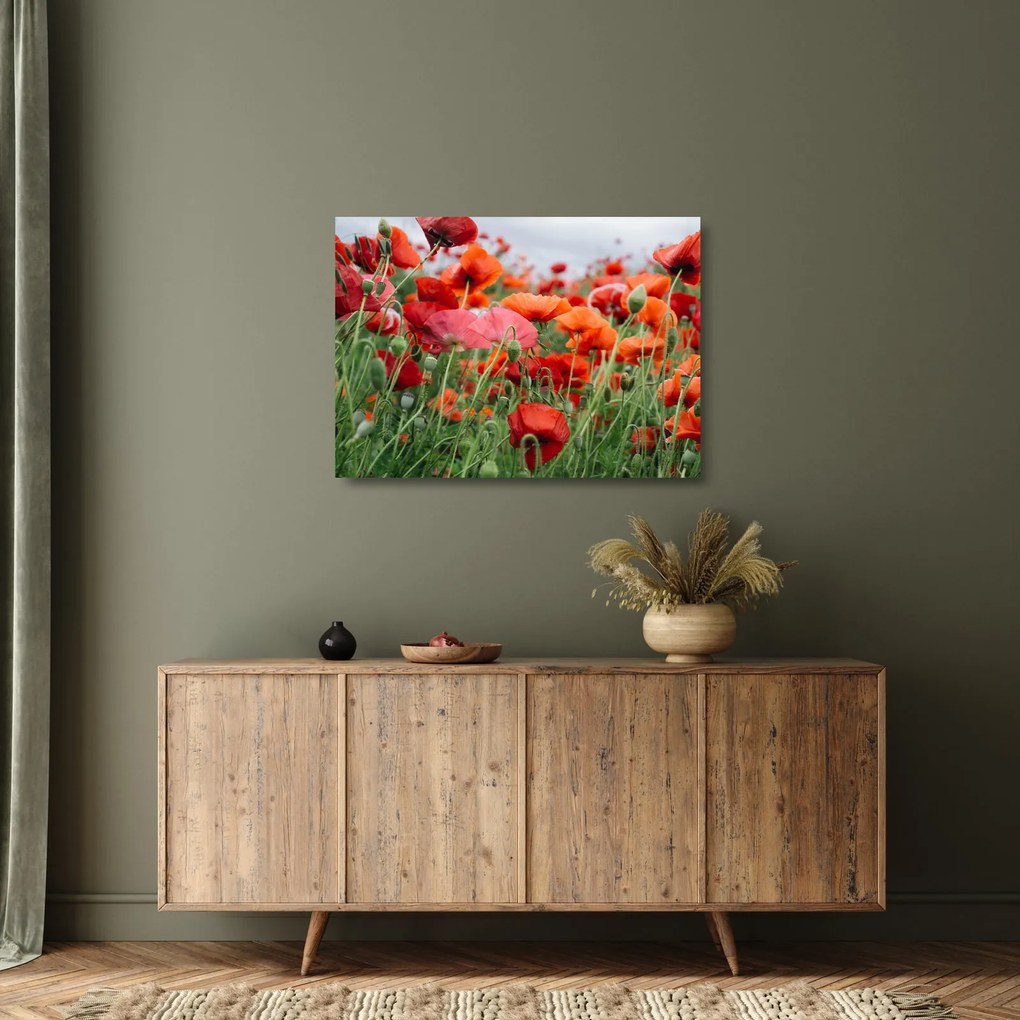 Egy kép a pipacs mezőről (üvegen) (70x50 cm)