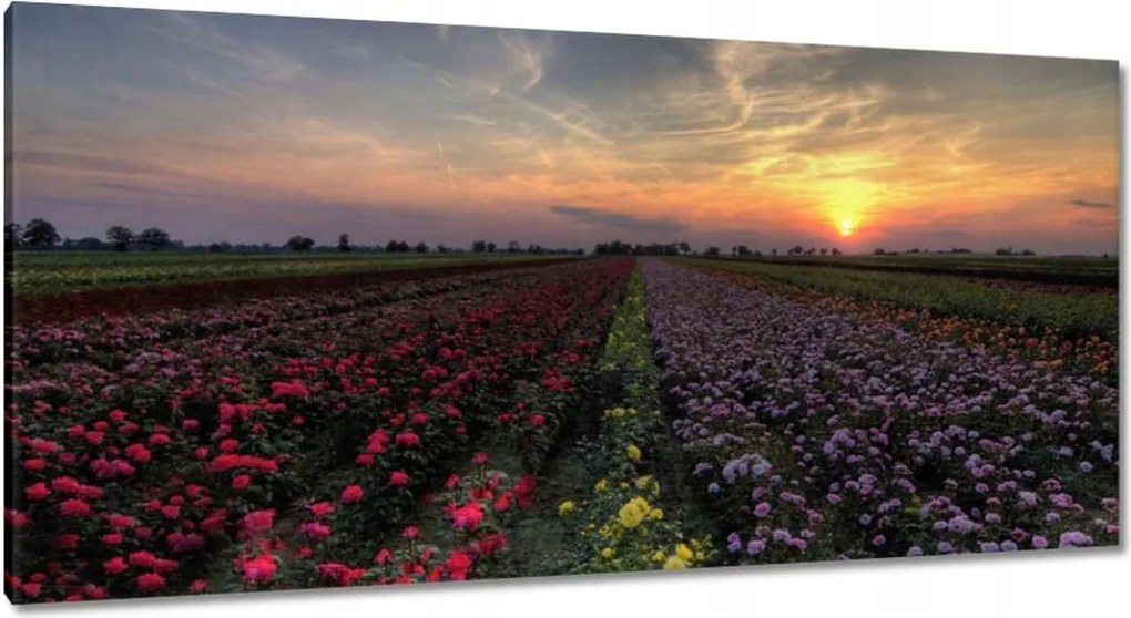 Vászonkép 115x55 Nyugat a virágmezőn
