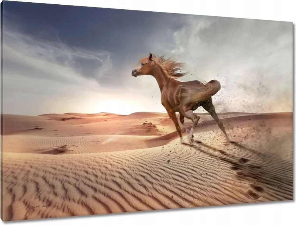 Képek 120x80 Galoppozó ló