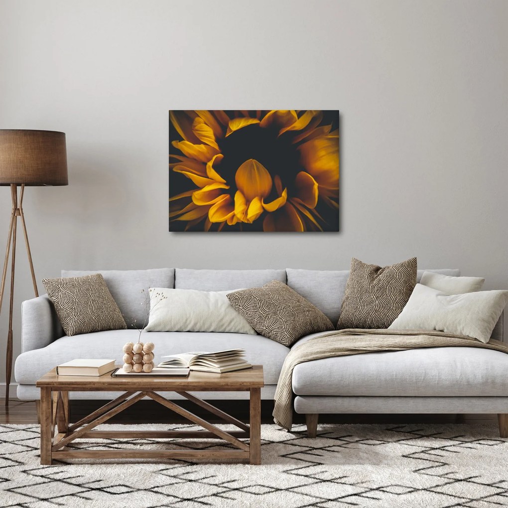 Kép - Napraforgó fekete háttérben (70x50 cm)