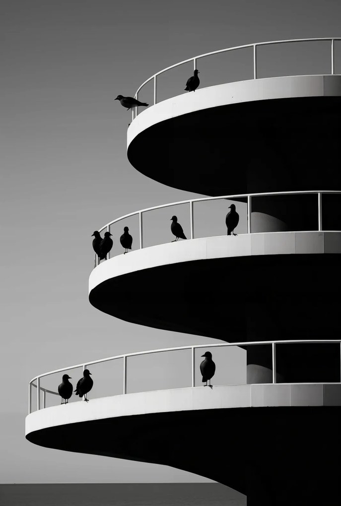 Poszter 68x101cm Holló árnyalatok