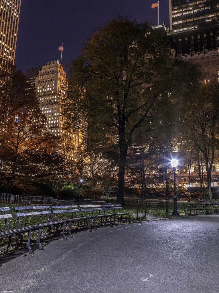 Poszter 30x40cm Esti kilátás a New York-i Central Parkra 4, Assaf Frank