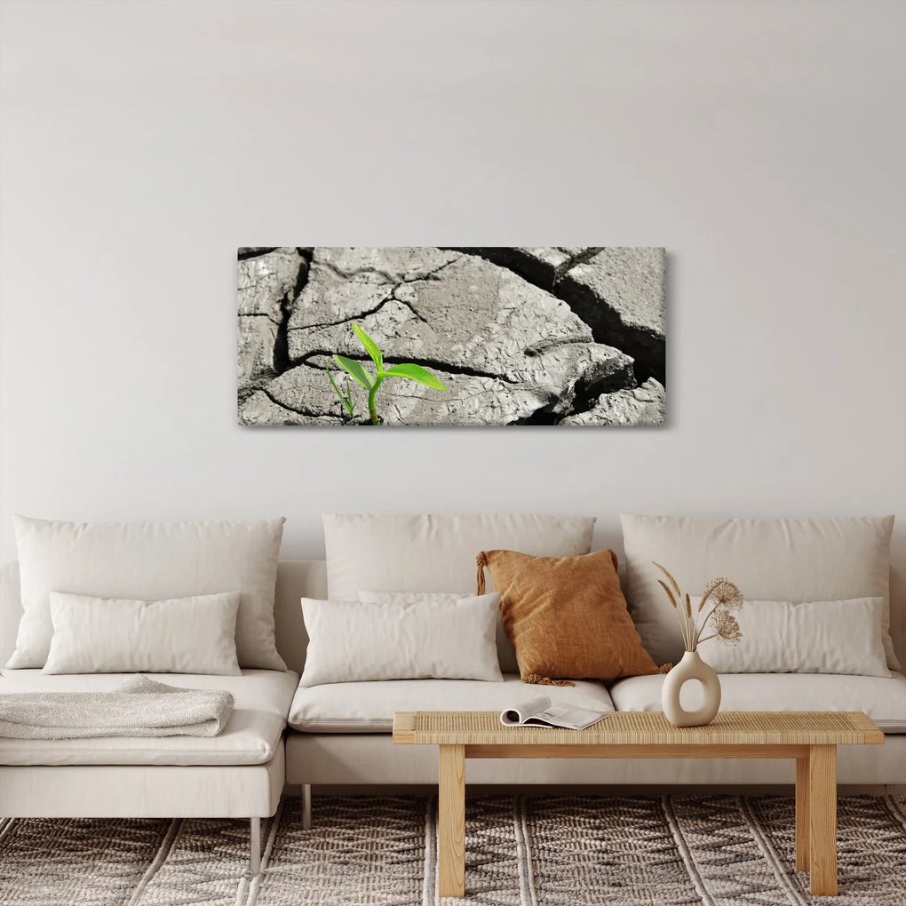 Kép - Repedések (120x50 cm)