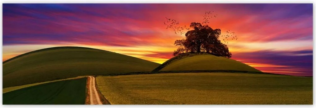 Poszterek 200x66 Naplemente Hegyek Fa